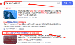 云南怒江州東*大峽谷生物城有限責(zé)任公司網(wǎng)站建設(shè)新一代自助建站、智能建站系統(tǒng)