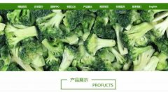 新泰市*外貿(mào)易公司網(wǎng)站建設創(chuàng)意網(wǎng)站效果展示