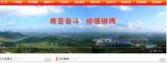 漢中鋅*有限責任公司網站制作平面設計案例作品
