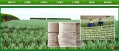 廣西玉林市長(zhǎng)*劍麻有限公司企業(yè)網(wǎng)站建設(shè)新一代自助建站、智能建站系統(tǒng)